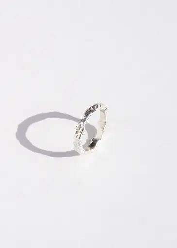 [R33.6] RING Swim To The Moon R33.6