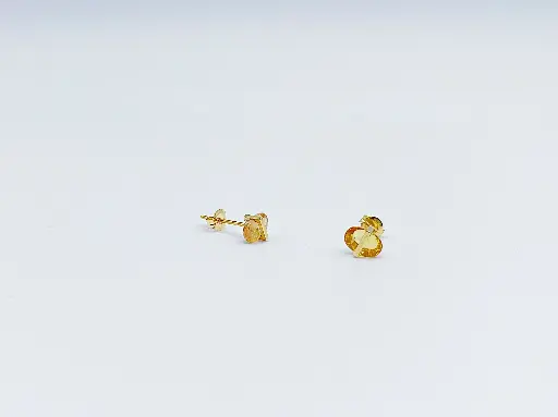 [O61.13] EARRING Januka