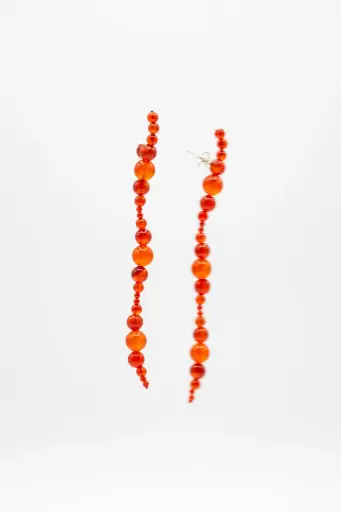 EARRINGS Mussels & Muscles O19.11 Carneool