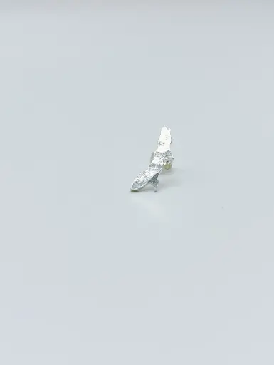 [O1.126 3 silver] Earring LASSO
