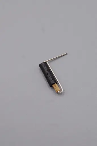 [O1.131-4] Earring LASSO
