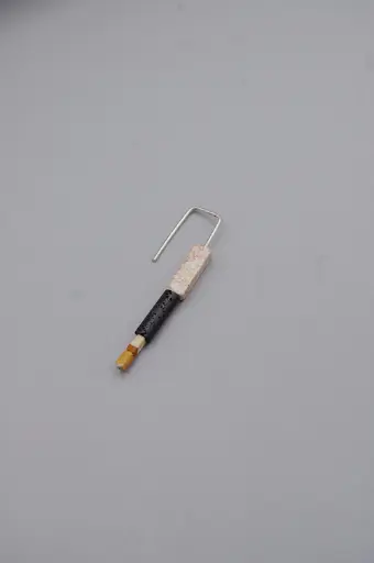 [O1.133-3] Earring LASSO