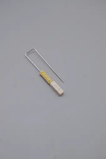 [O1.134-3] Earring LASSO