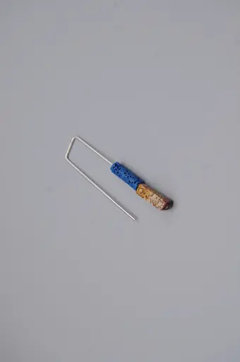 [O1.134-4] Earring LASSO