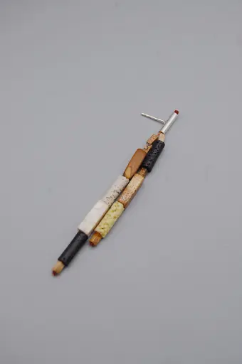 [O1.135-3] Earring LASSO