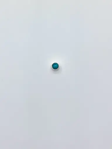 [O1.34 silver turkois] Earring LASSO