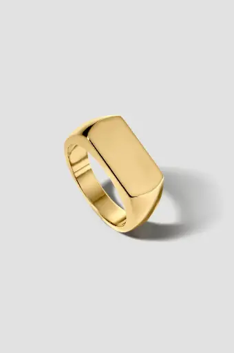 [R31.58] Ring 
