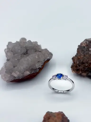 [R1.18kt.78] Ring LASSO