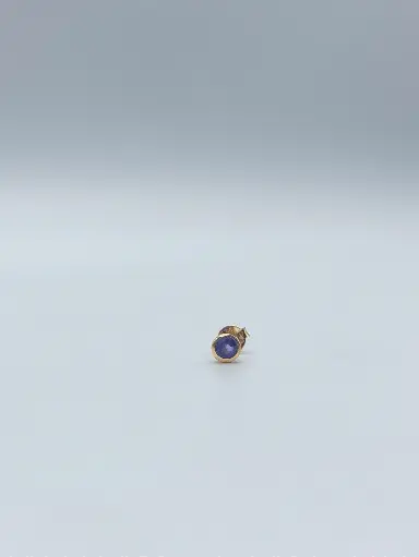 [O1.34 amethist verguld] Oorbel LASSO