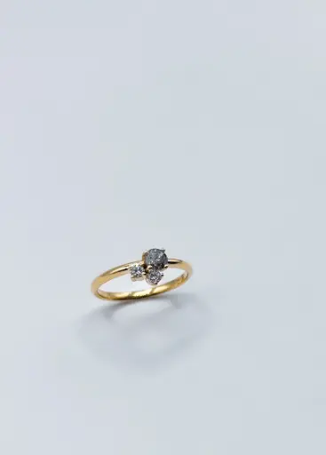 [R1.18kt.79] Ring LASSO