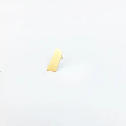 [O17.9] Earring 