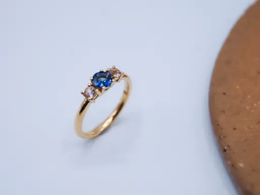 [R1.18kt.81] Ring LASSO
