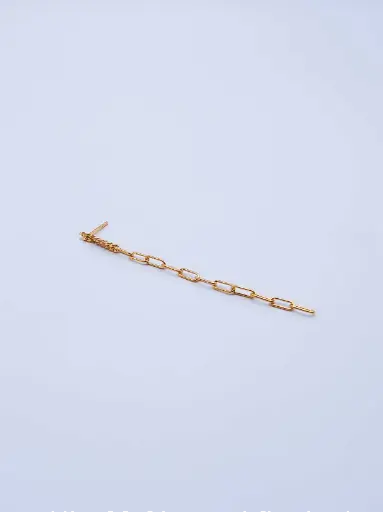 [O1.143 yellow] Earring LASSO