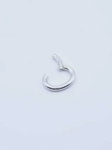 [C1.1 silver] Clip LASSO 